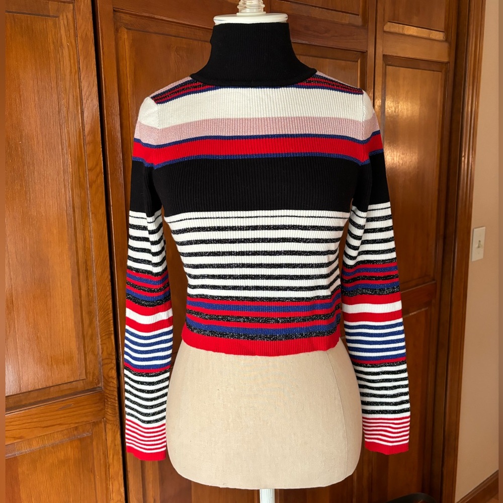 Striped Crop Turtleneck